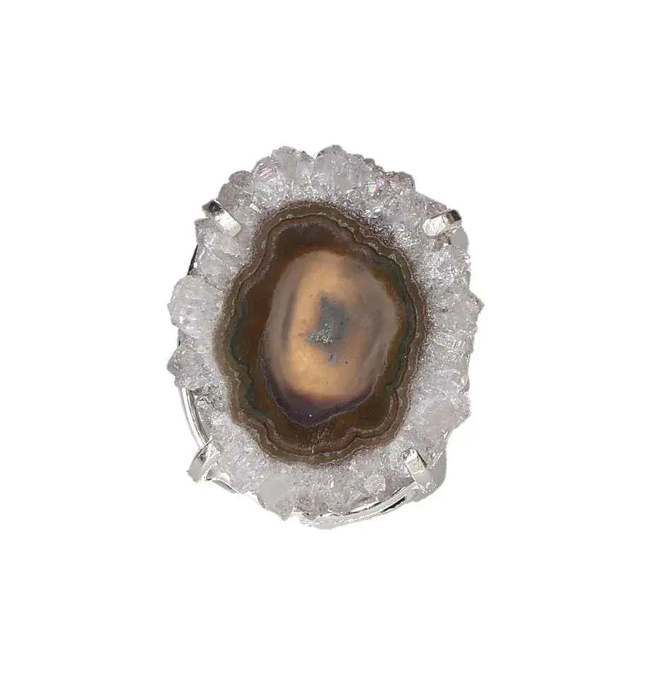 orbitvu|type:image2d