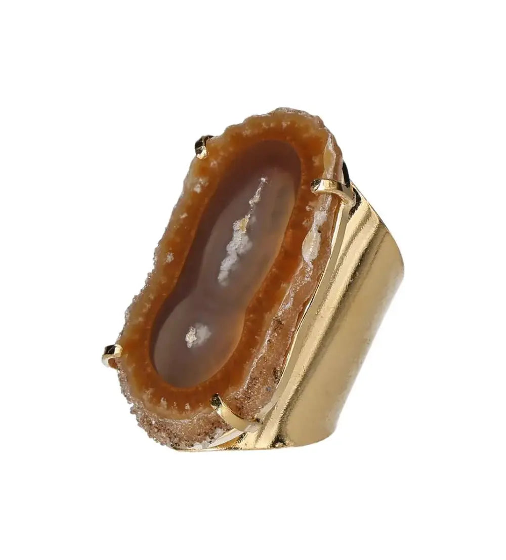 orbitvu|type:image2d