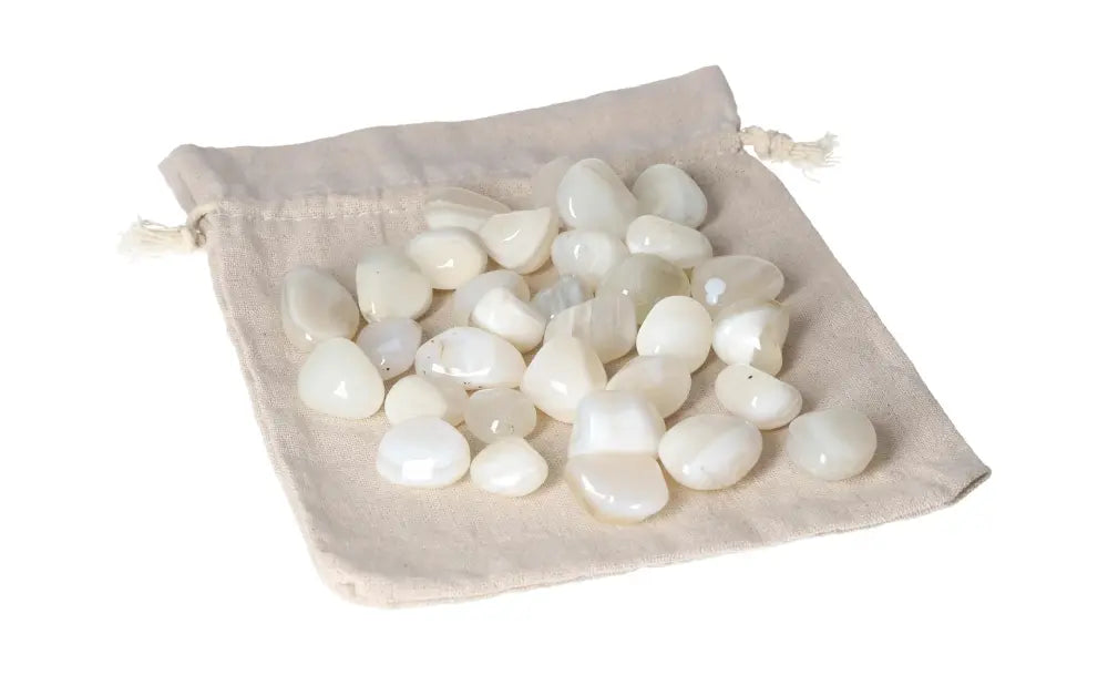 orbitvu|type:image2d