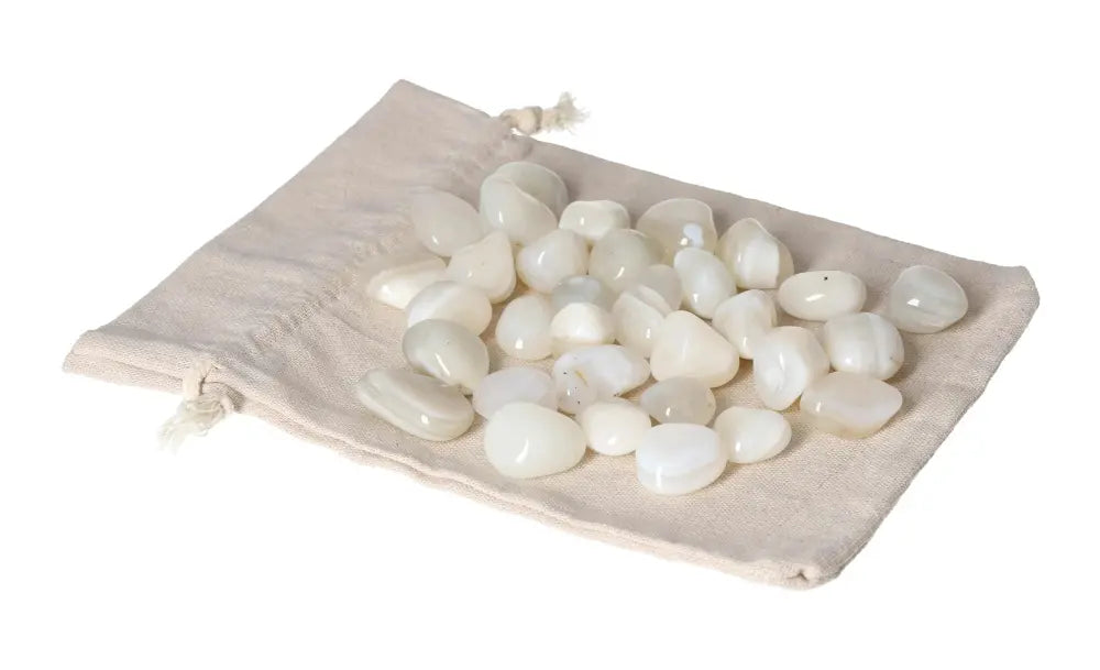 orbitvu|type:image2d