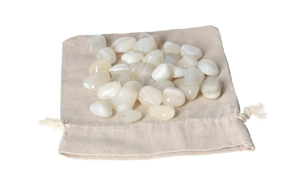 orbitvu|type:image2d