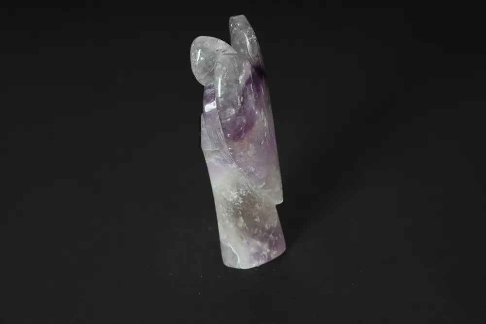 orbitvu|type:image2d