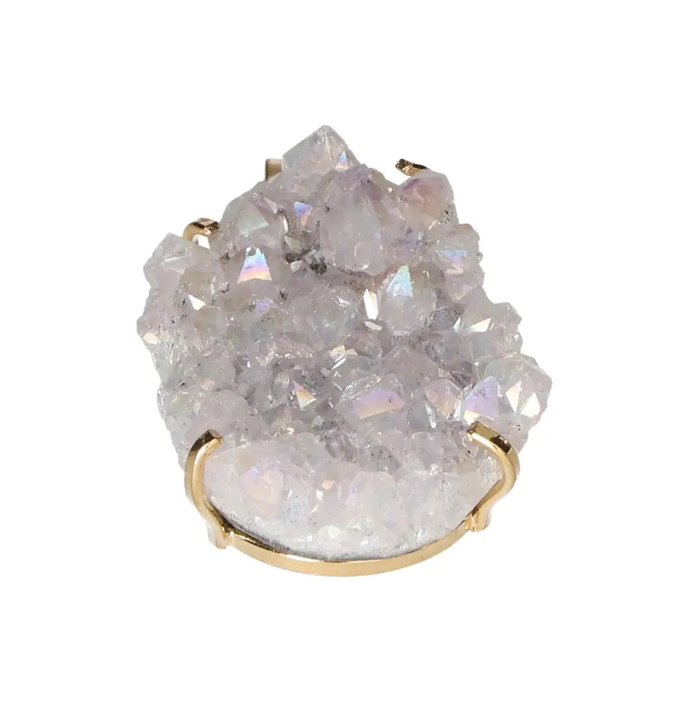 orbitvu|type:image2d