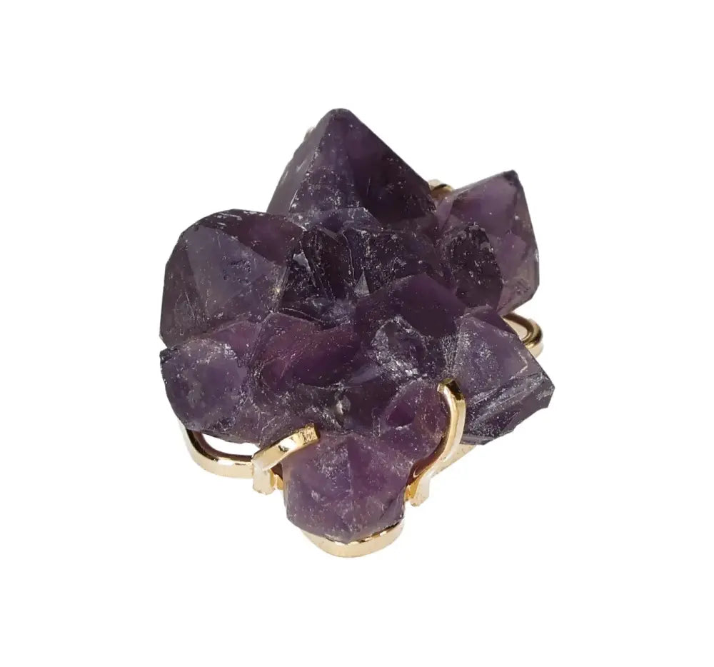 orbitvu|type:image2d