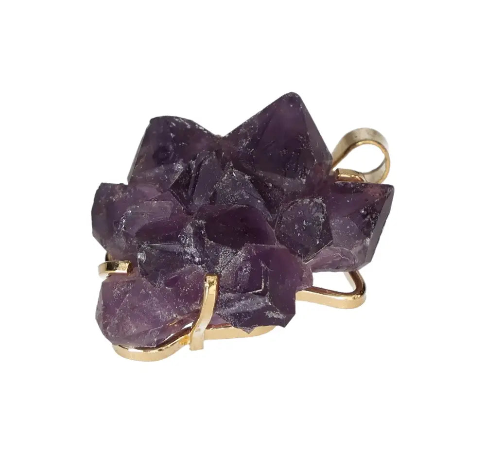 orbitvu|type:image2d