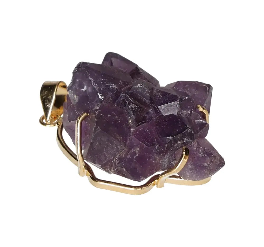 orbitvu|type:image2d