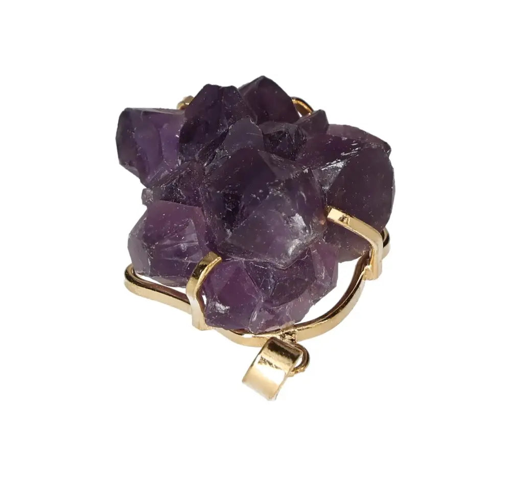 orbitvu|type:image2d