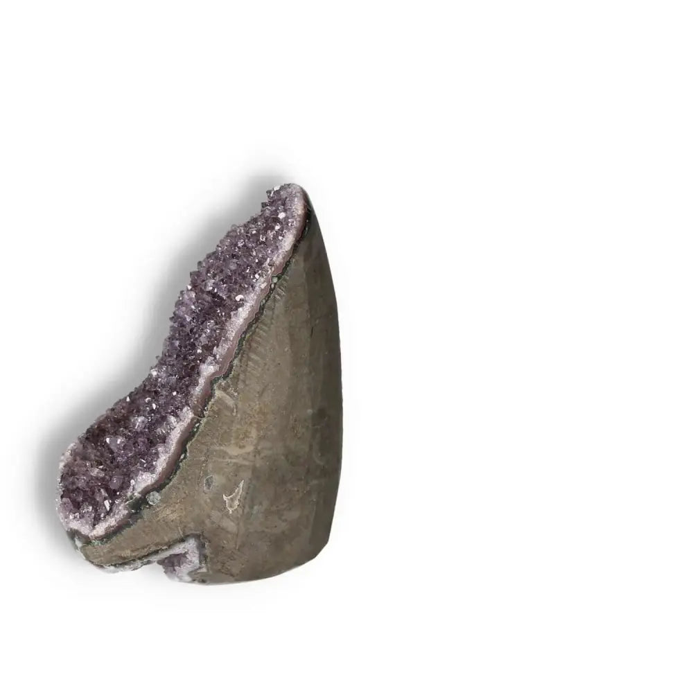 Amethyst Cut Base Geode from Sylvia Crystals, showcasing exquisite beauty and spiritual resonance with stress-relieving qualities.