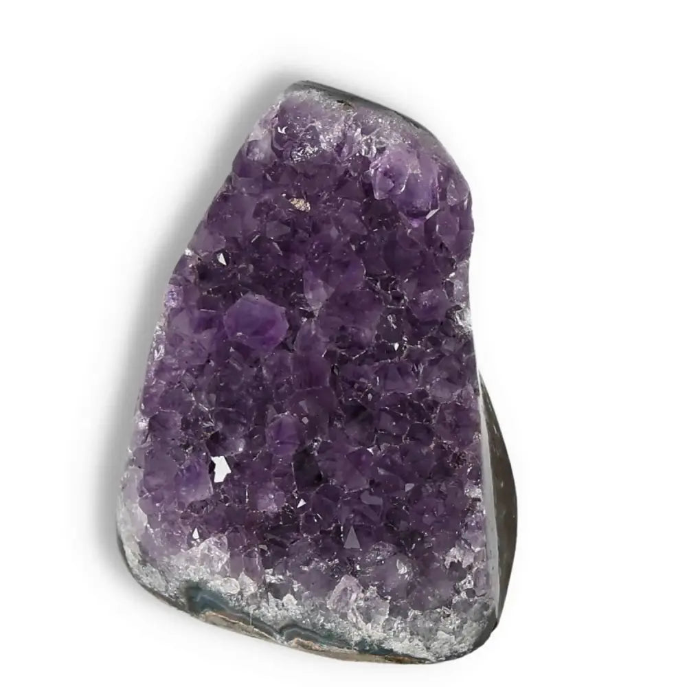 Elegant Amethyst Cut Base Geode from Sylvia Crystals, showcasing vibrant violet hues and premium natural formation.