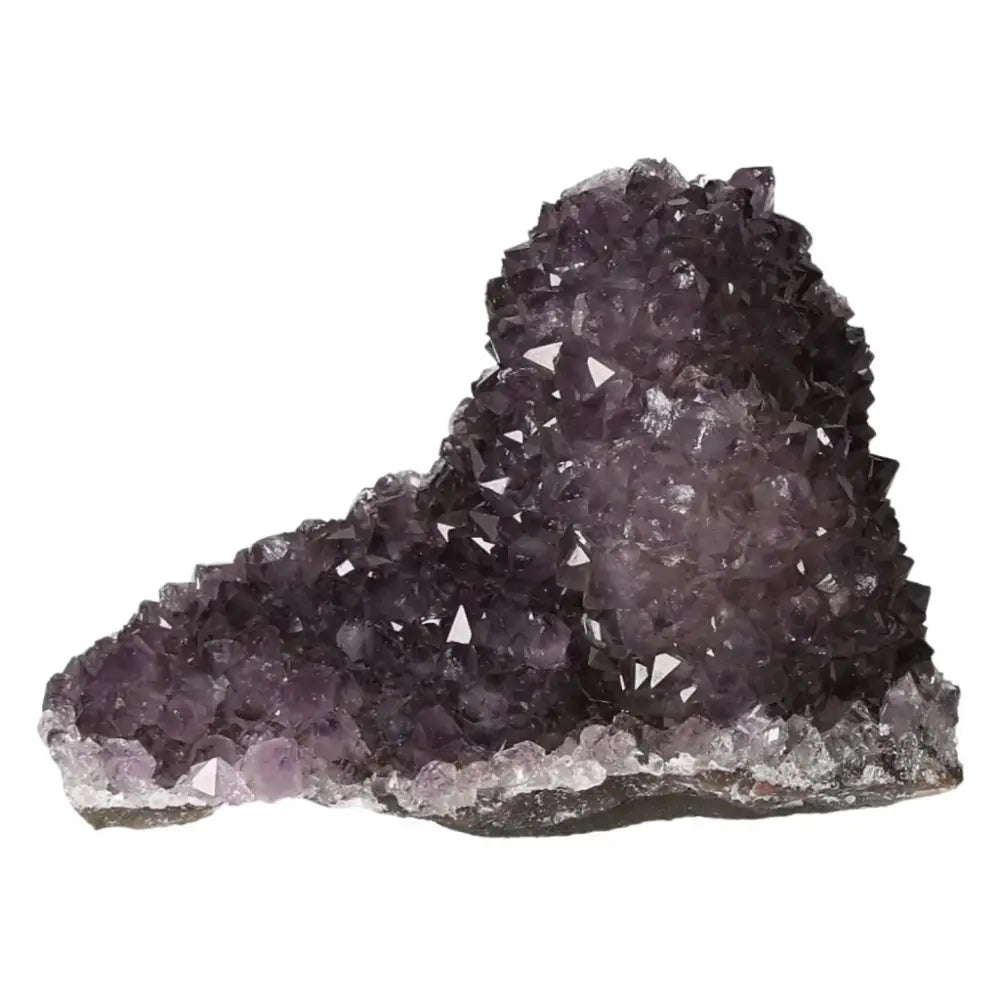 orbitvu|type:ORBITVU 360|https://orbitvu.co/share/RGeCFvkYiwEKt5tp4VsnU9/6490357/360/iframe