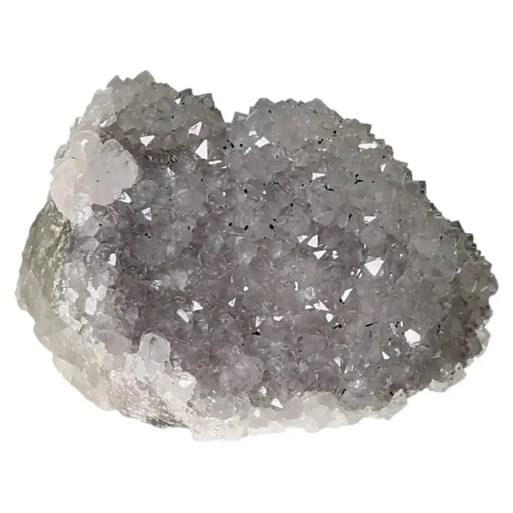 orbitvu|type:image2d