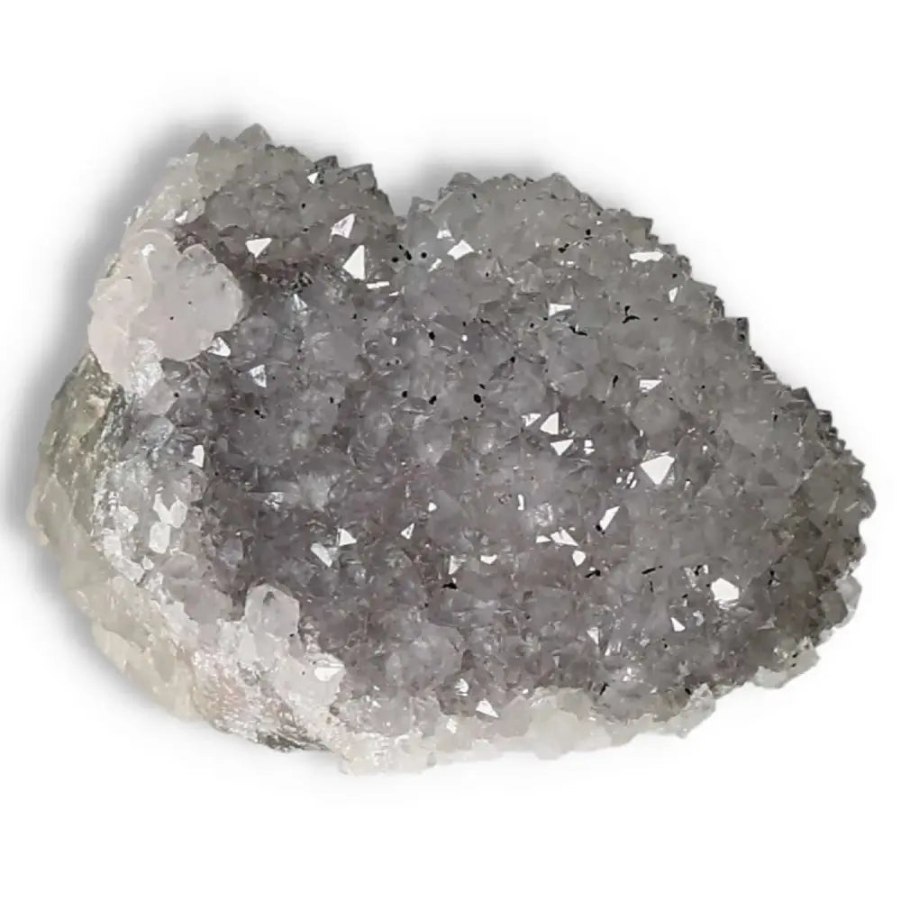 orbitvu|type:image2d