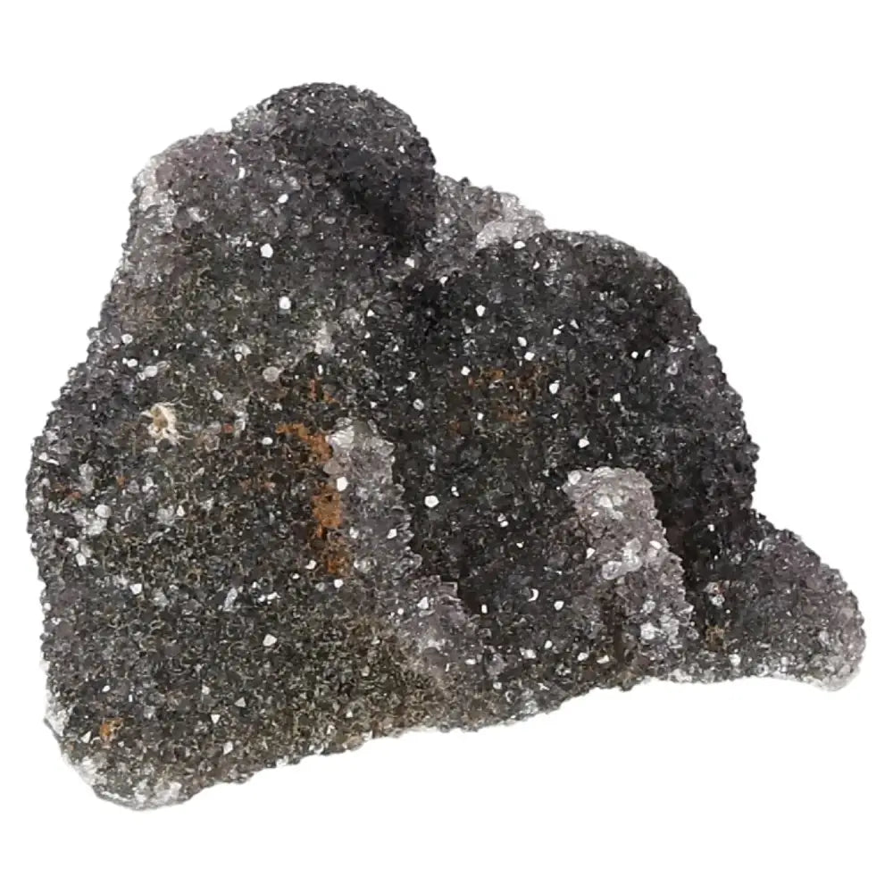 orbitvu|type:image2d