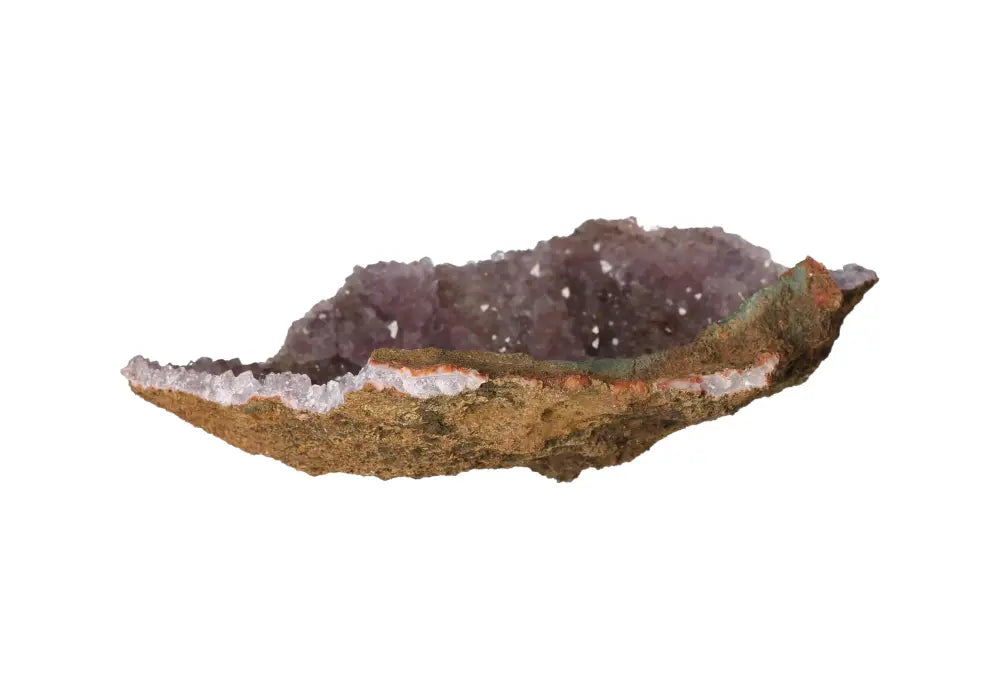 orbitvu|type:image2d