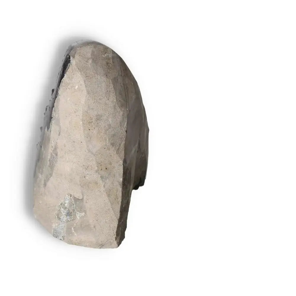 orbitvu|type:image2d