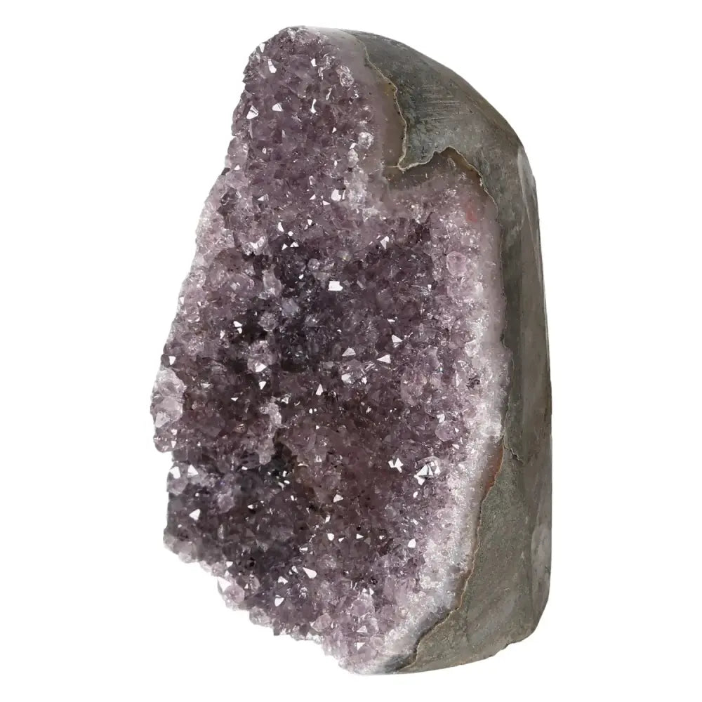 orbitvu|type:image2d