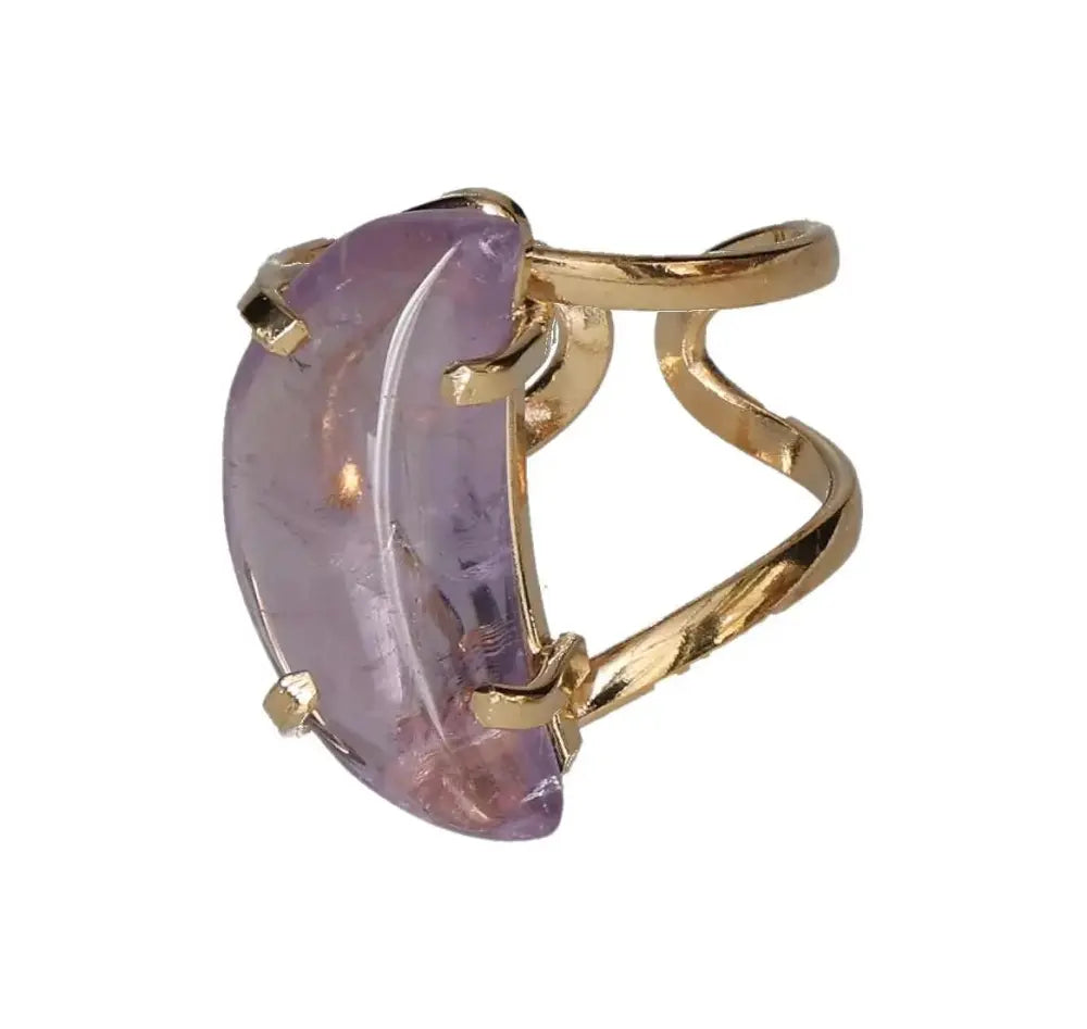 orbitvu|type:image2d