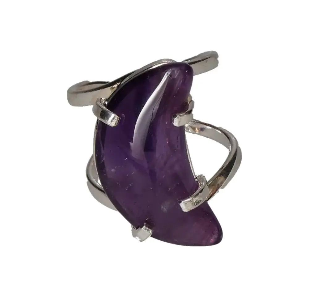 orbitvu|type:image2d