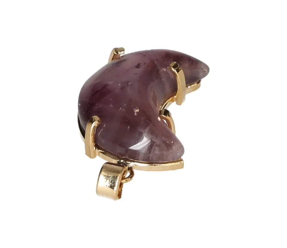 orbitvu|type:image2d