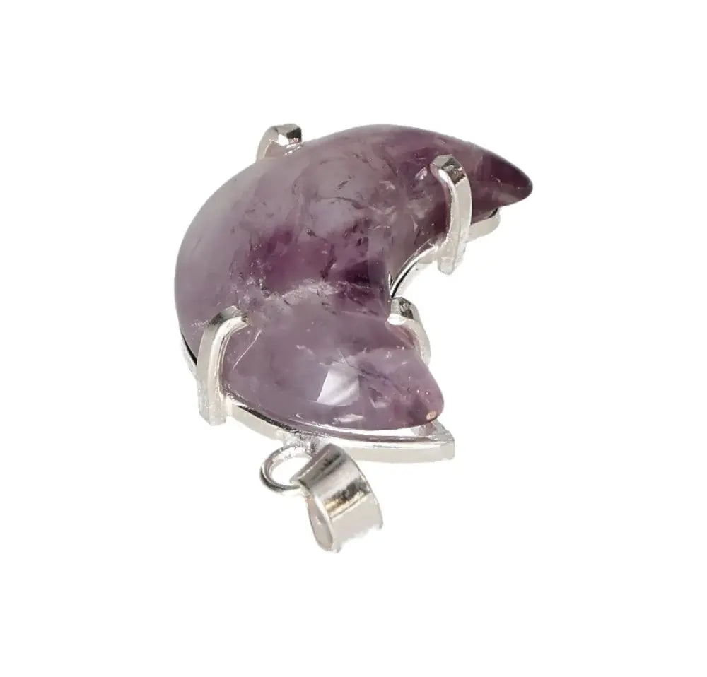 orbitvu|type:image2d