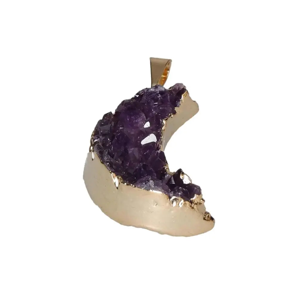 orbitvu|type:image2d