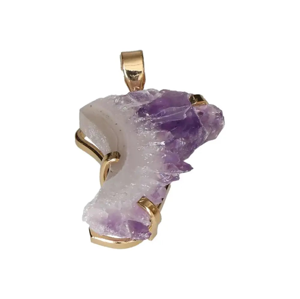 orbitvu|type:image2d