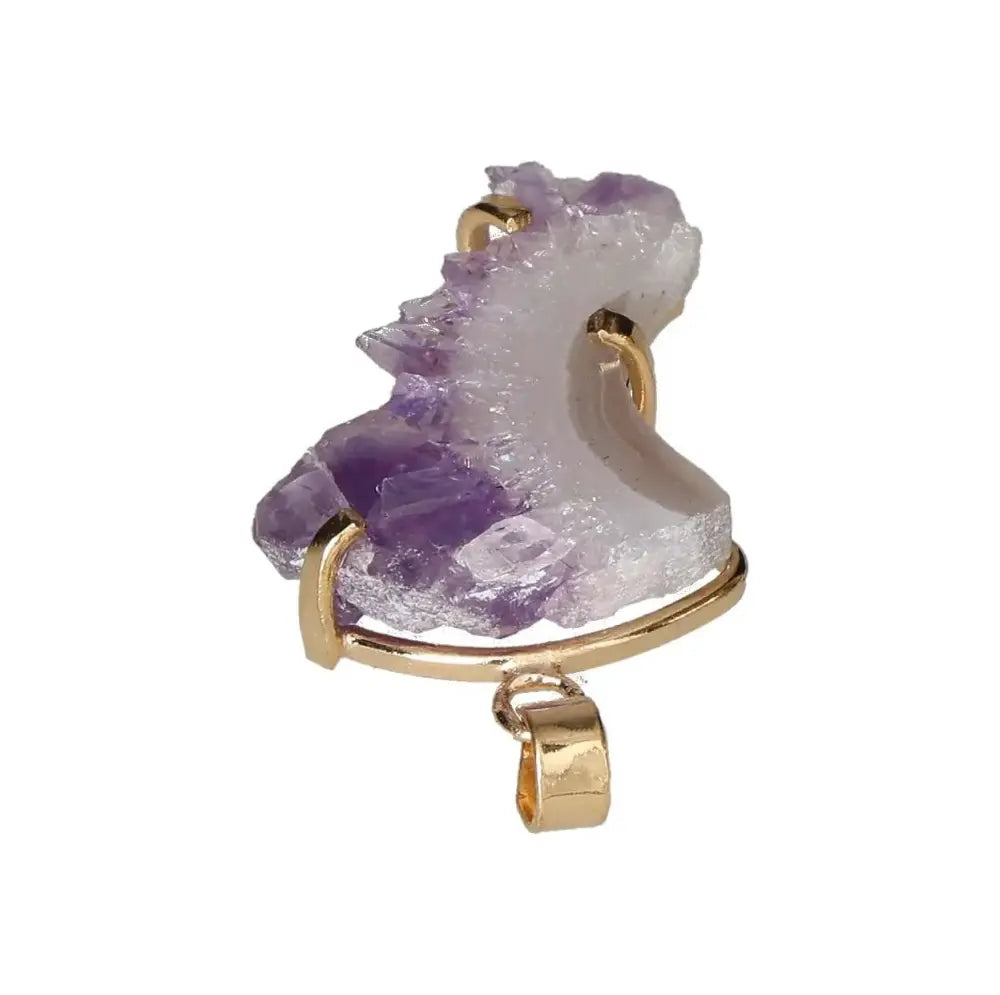 orbitvu|type:image2d