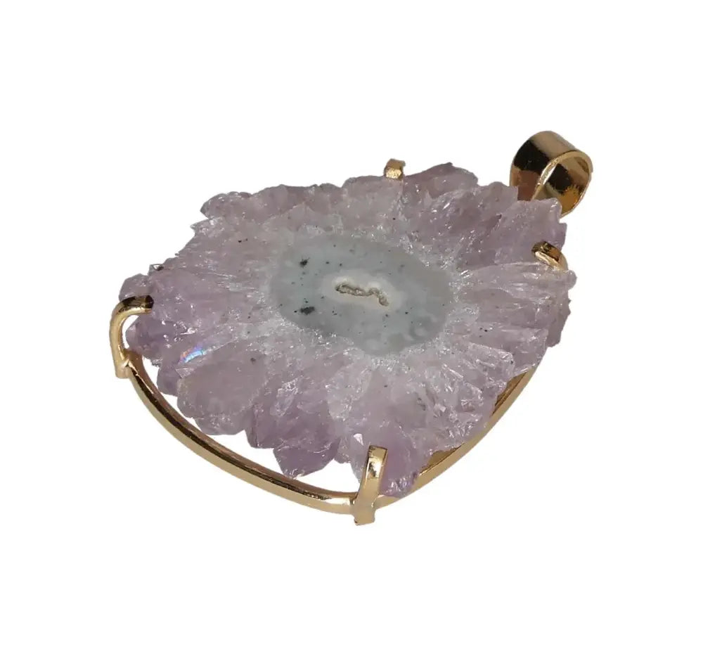 orbitvu|type:image2d