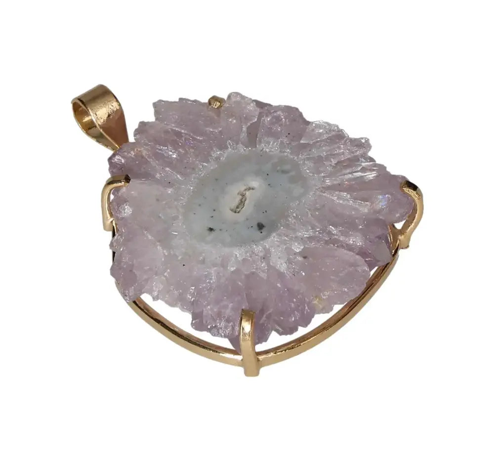 orbitvu|type:image2d