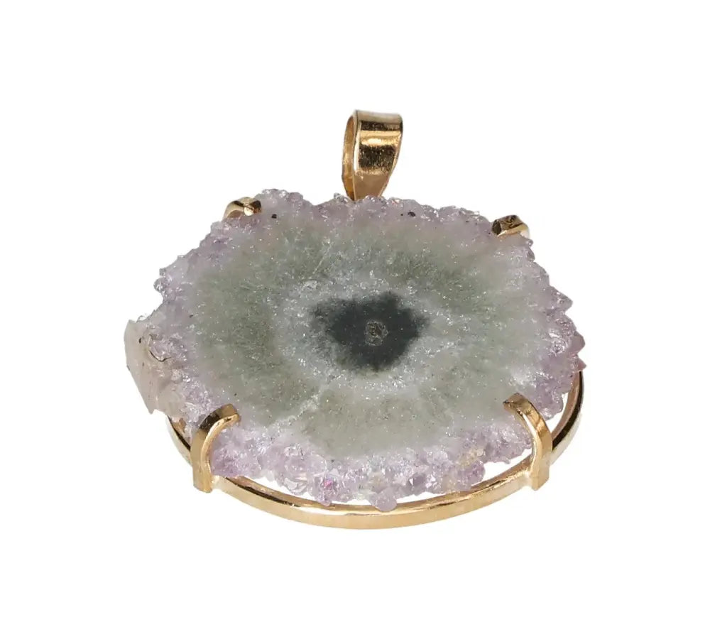 orbitvu|type:image2d