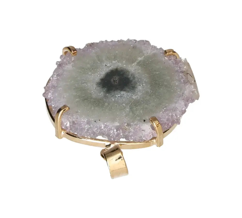 orbitvu|type:image2d