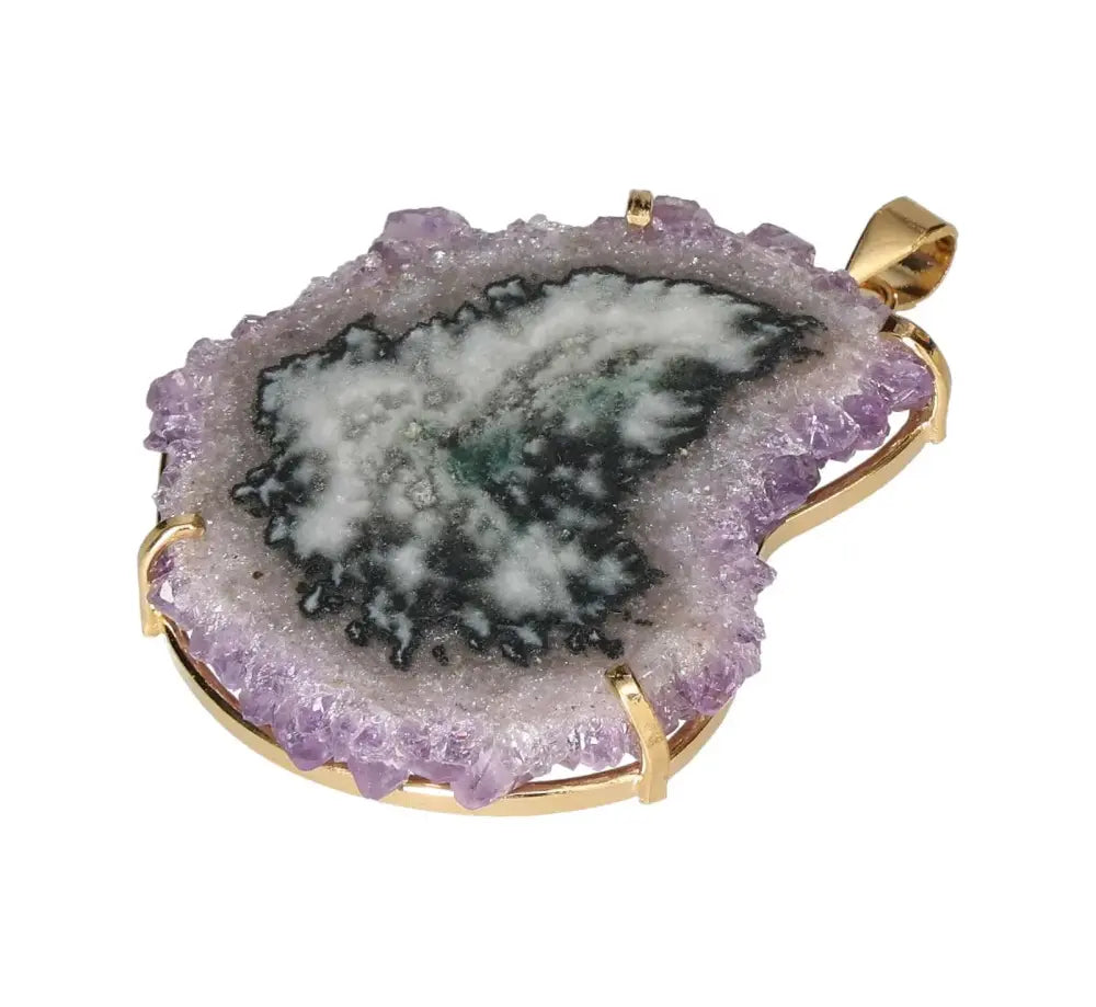 orbitvu|type:image2d