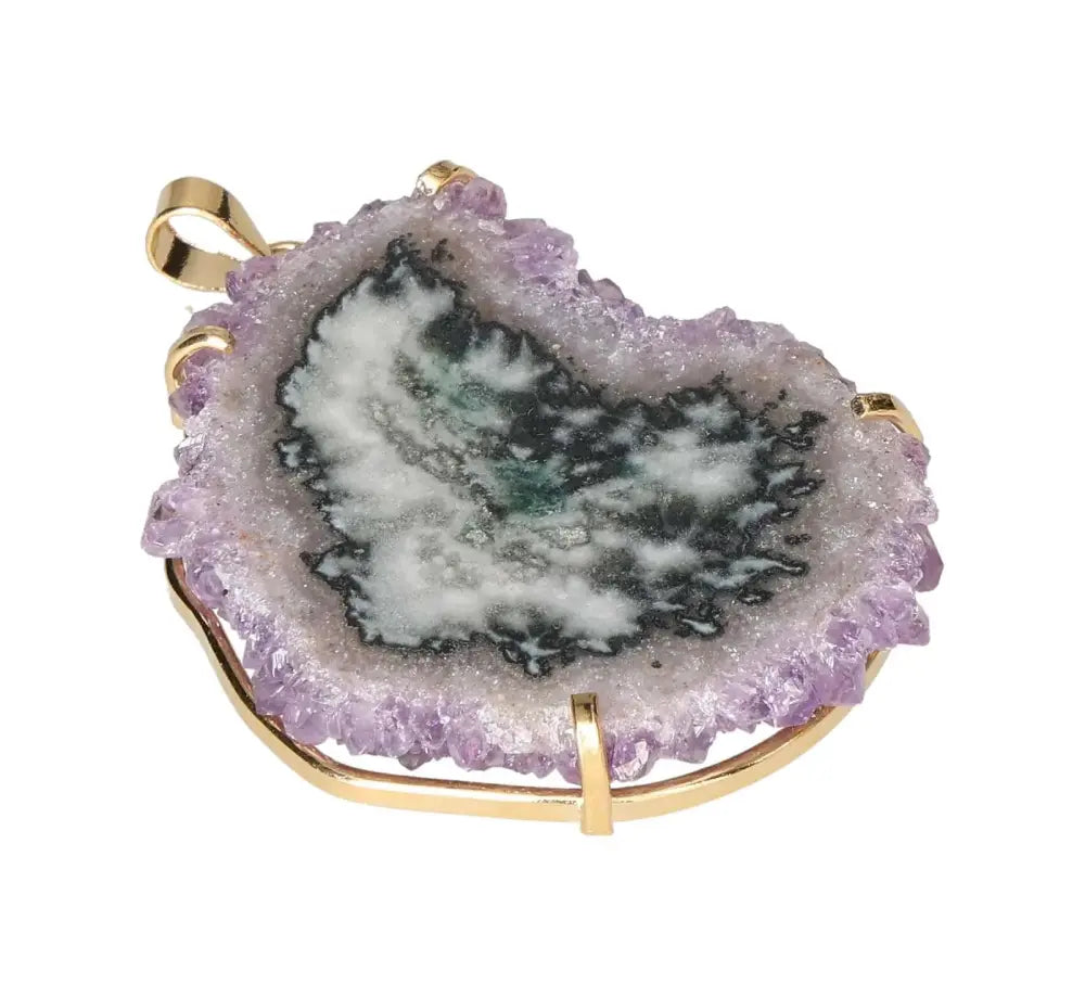 orbitvu|type:image2d