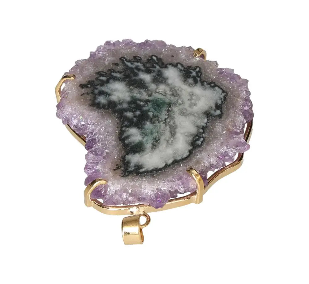 orbitvu|type:image2d