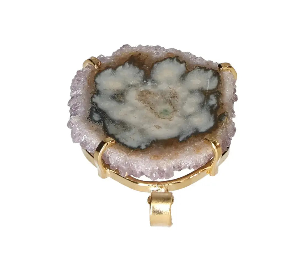 orbitvu|type:image2d