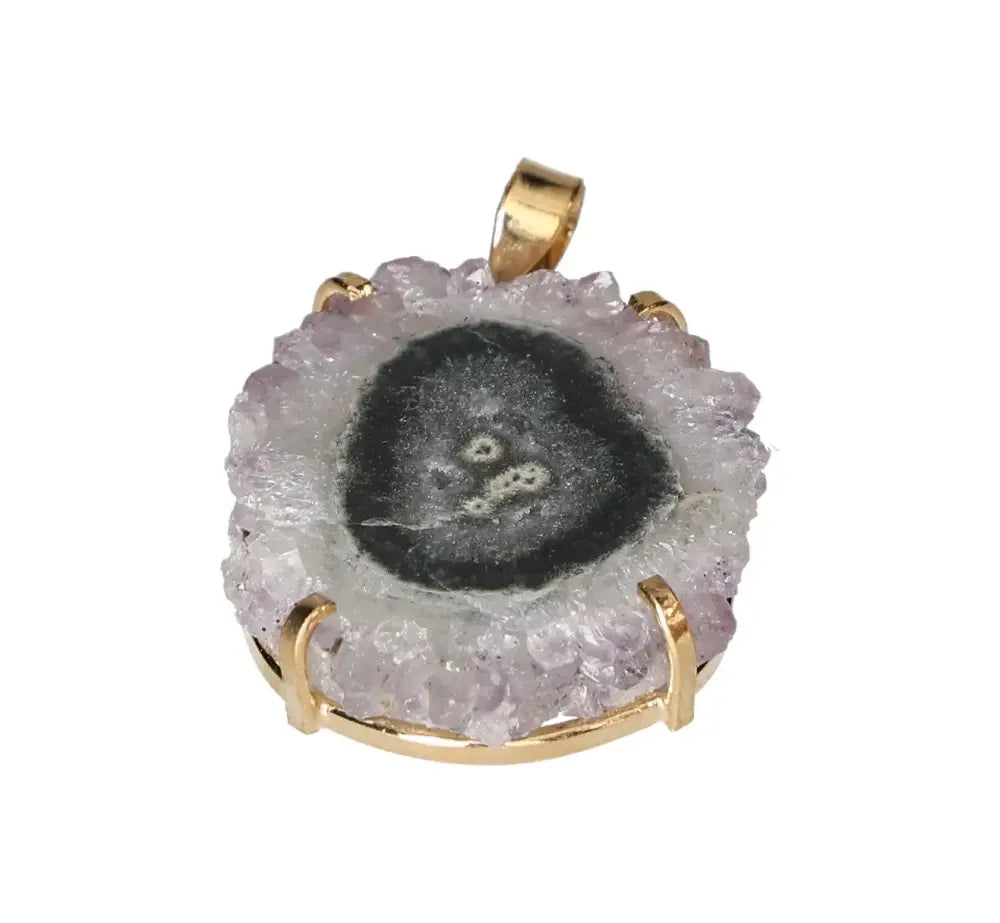 orbitvu|type:image2d