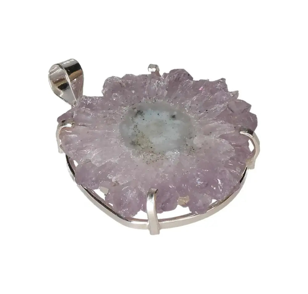 orbitvu|type:image2d