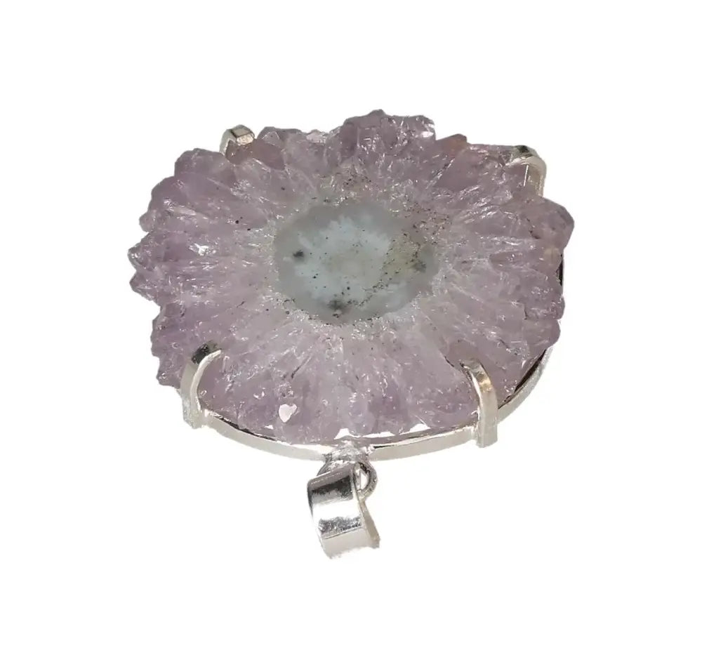 orbitvu|type:image2d