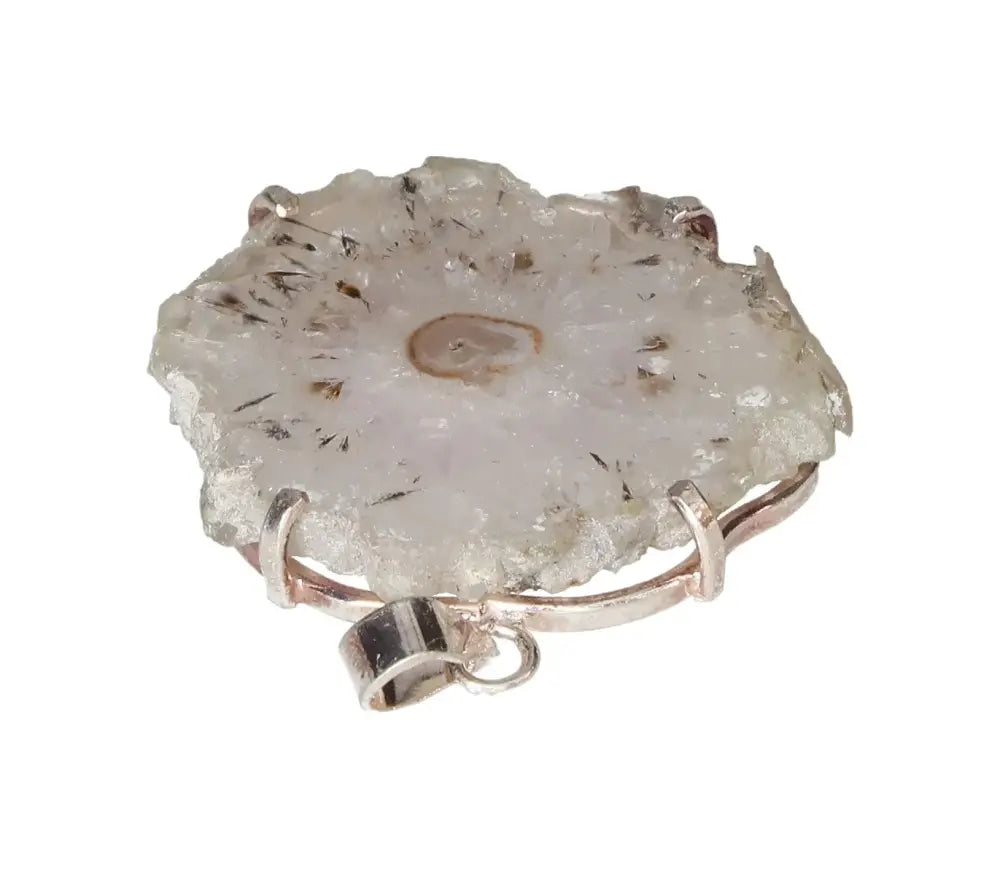 orbitvu|type:image2d