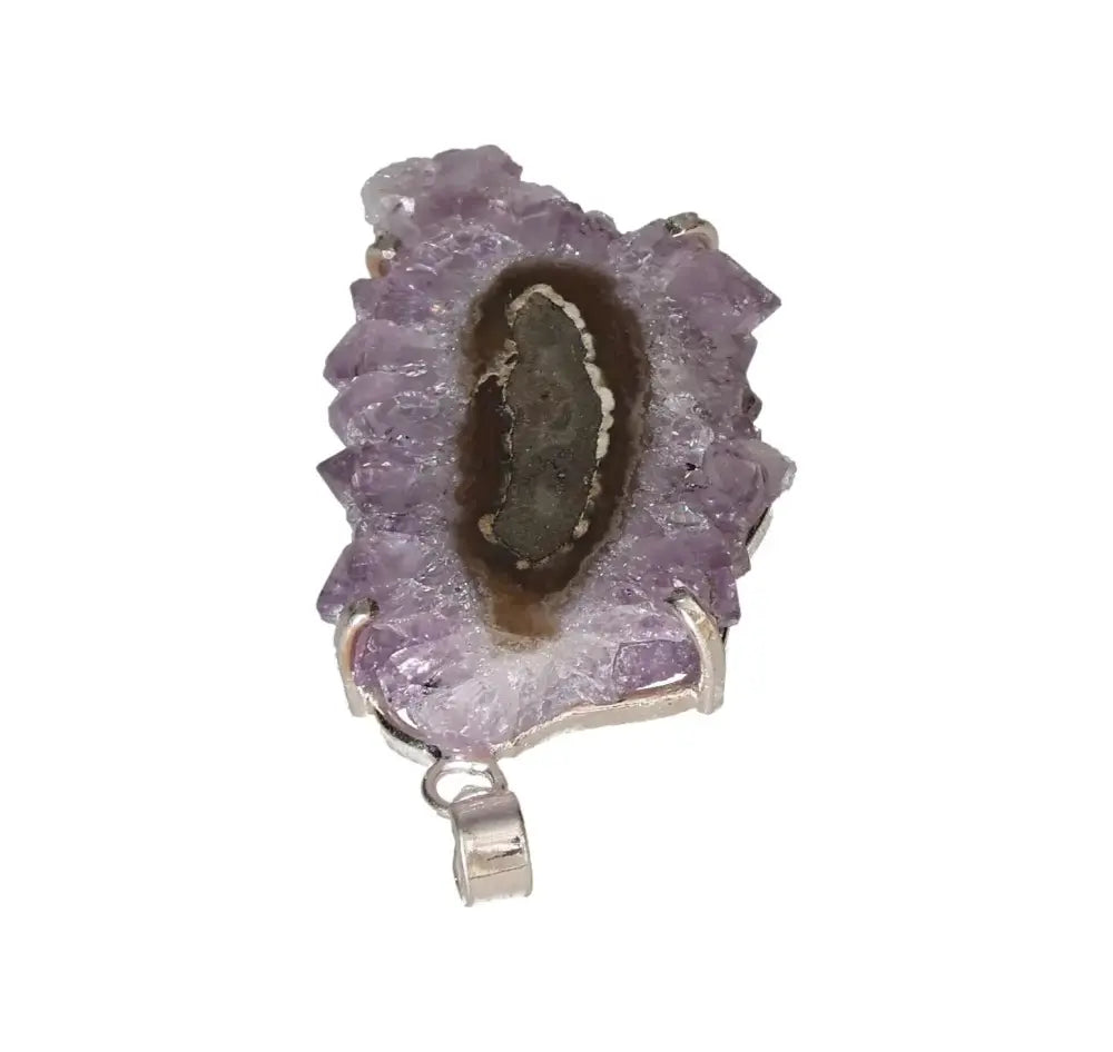 orbitvu|type:image2d