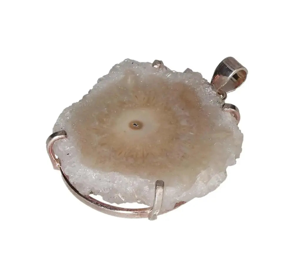 orbitvu|type:image2d