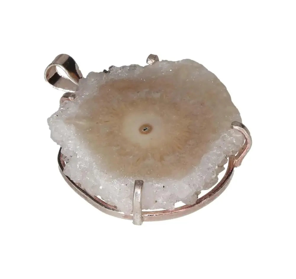 orbitvu|type:image2d