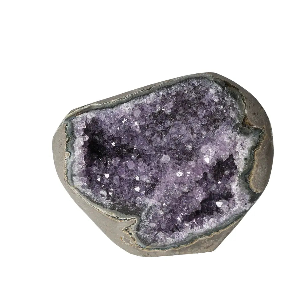 orbitvu|type:image2d