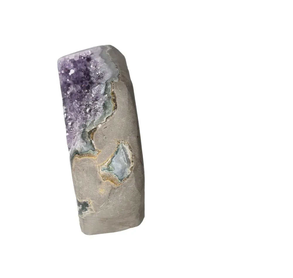 orbitvu|type:image2d