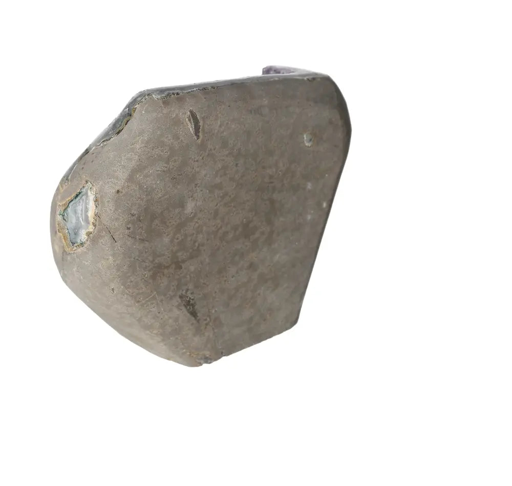 orbitvu|type:image2d