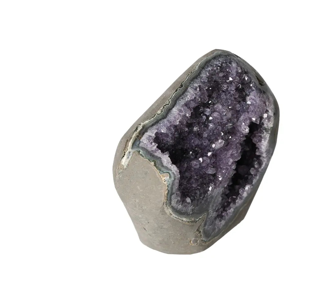 orbitvu|type:image2d