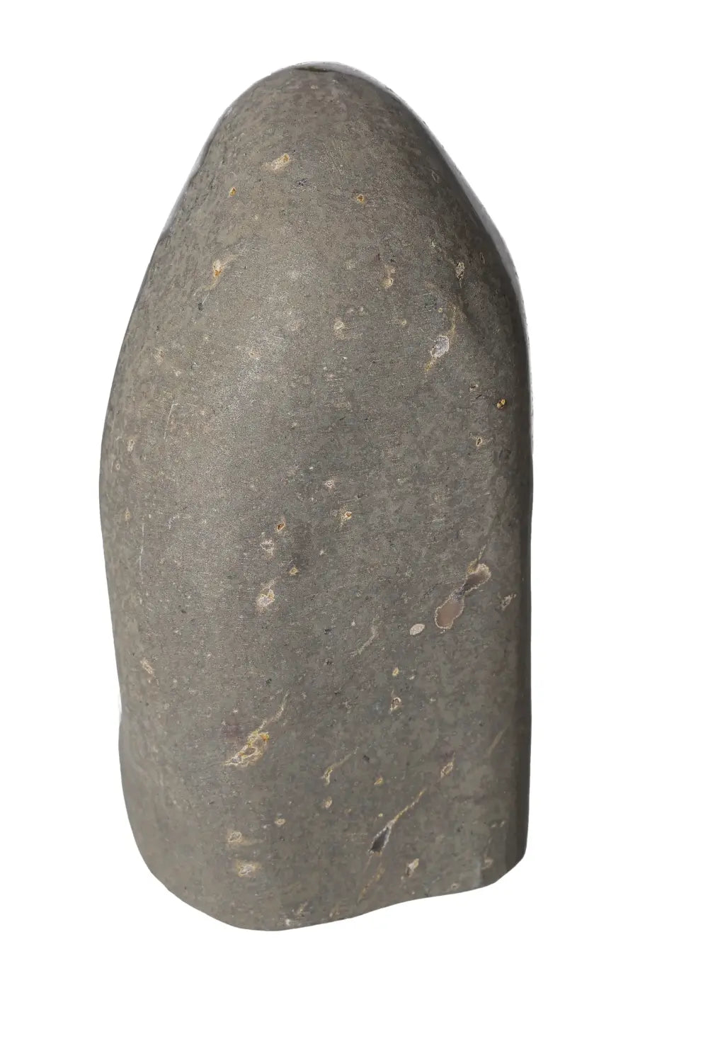 orbitvu|type:image2d