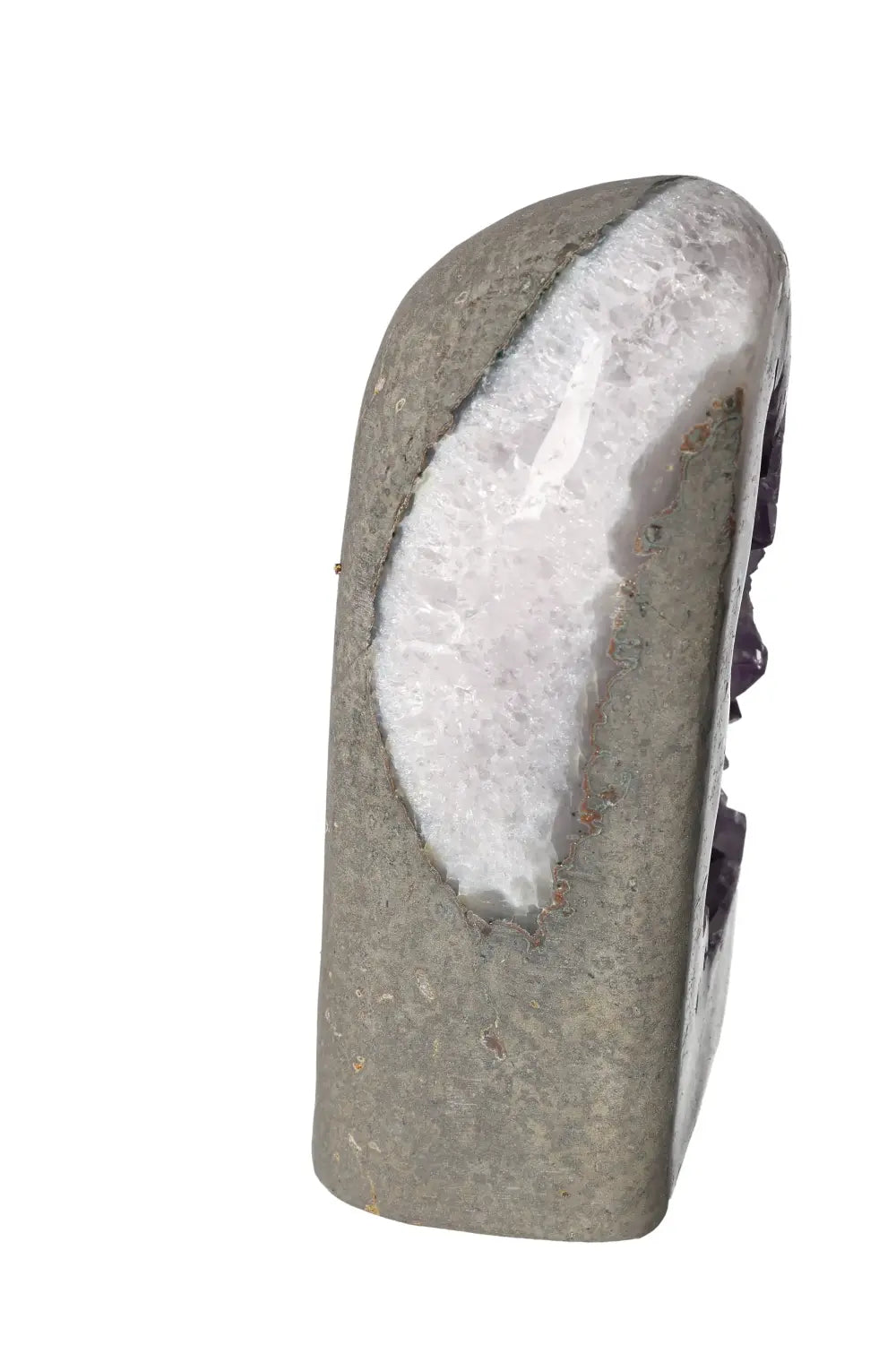 orbitvu|type:image2d