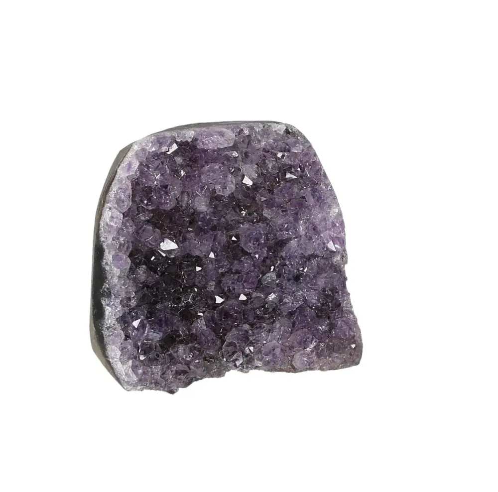 orbitvu|type:image2d