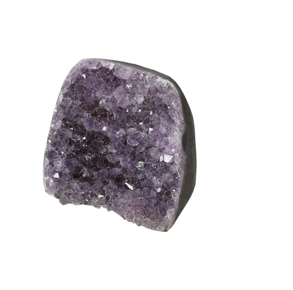 orbitvu|type:image2d